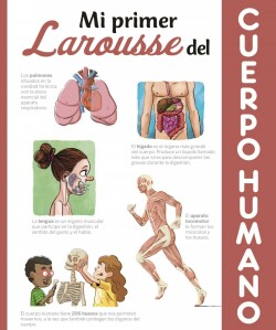 CUERPO HUMANO