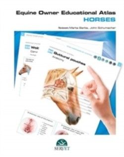 Equine owner educational atlas - Horses