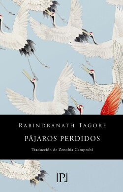 Pájaros perdidos (Sentimientos)