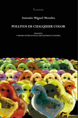 POLLITOS DE CUALQUIER COLOR