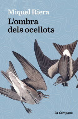 L'ombra dels ocellots