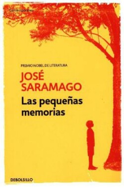 Las pequeñas memorias