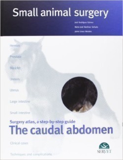 Small animal surgery : The Caudal Abdomen