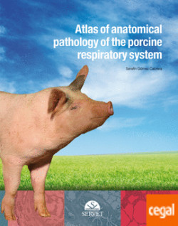 Atlas of Anatomical Pathology of the Porcine Respiratory System