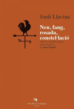 Neu, fang, rosada, constel·lacio