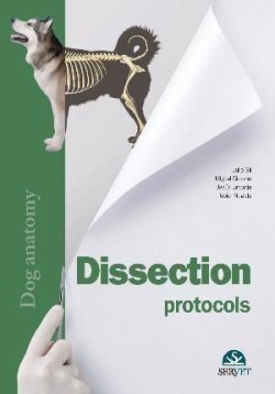 Dissection protocols. Anatomy of the dog
