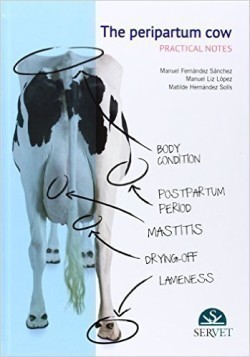 The Peripartum Cow: Practical Notes