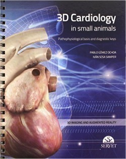 3D Cardiology in Small Animals