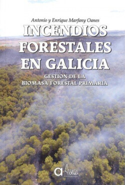 INCENDIOS FORESTALES EN GALICIA