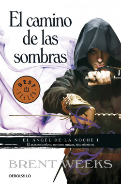 El camino de las sombras (El Ángel de la Noche 1)