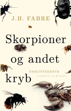 Skorpioner og andet kryb