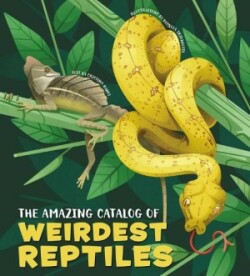 Amazing Catalog of Weirdest Reptiles