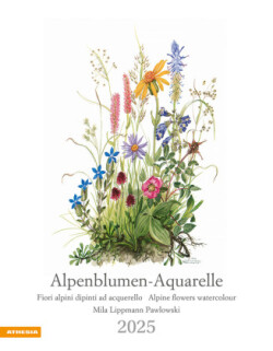 Alpenblumen-Aquarelle Kalender 2025