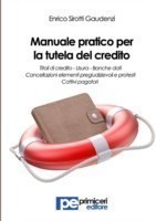 Manuale pratico per la tutela del credito