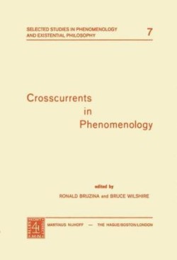 Crosscurrents in Phenomenology