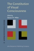 Constitution of Visual Consciousness