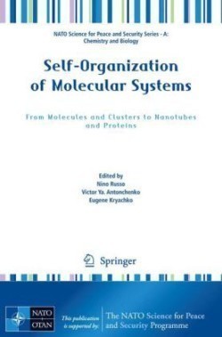 Self-Organization of Molecular Systems