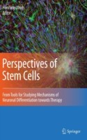 Perspectives of Stem Cells