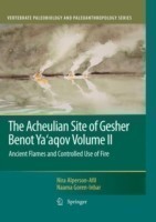 Acheulian Site of Gesher Benot Ya’aqov Volume II