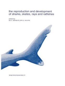 reproduction and development of sharks, skates, rays and ratfishes