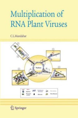 Multiplication of Rna Plant Viruses