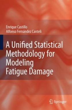 Unified Statistical Methodology for Modeling Fatigue Damage