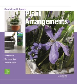 Plant Arrangements: Creativity With Flowers