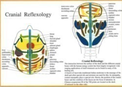 Cranial Reflexology -- A4