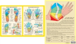 Hand & Foot Reflexology -- A4