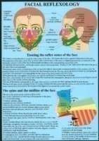 Facial Reflexology -- A4