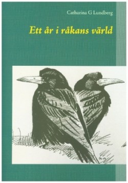 Ett år i råkans värld