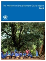 Millennium Development Goals report 2014