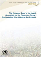 economic cost of the Israeli occupation for the Palestinian people