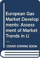 European gas market developments