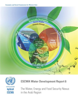 water, energy and food security nexus in the Arab region