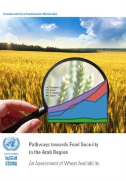 Pathways towards food security in the Arab region