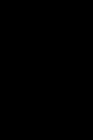 United Nations model double taxation convention between developed and developing Countries