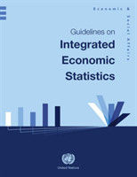 Guidelines on integrated economic statistics