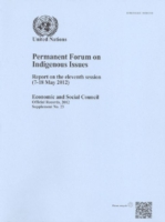 Permanent Forum on Indigenous Issues