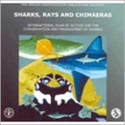 Sharks, Rays and Chimaeras