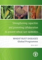 Wheat Rust Diseases Global Programme 2014-2017