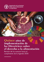 Fifteen Years Implementing the Right to Food Guidelines (Spanish Edition)