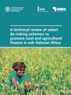 technical review of select de-risking schemes to promote rural and agricultural finance in sub-Saharan Africa