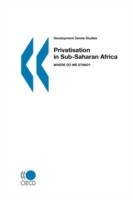 Privatisation in Sub-Saharan Africa,Where Do We Stand?
