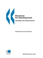 Business for Development: Fostering the Private Sector