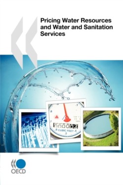 Pricing Water Resources and Water and Sanitation Services