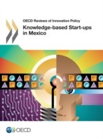 Knowledge-based start-ups in Mexico