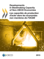 Developments in steelmaking capacity of non-OECD economies 2013