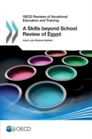 skills beyond school review of Egypt