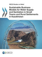 Sustainable Business Models for Water Supply and Sanitation in Small Towns and Rural Settlements in Kazakhstan